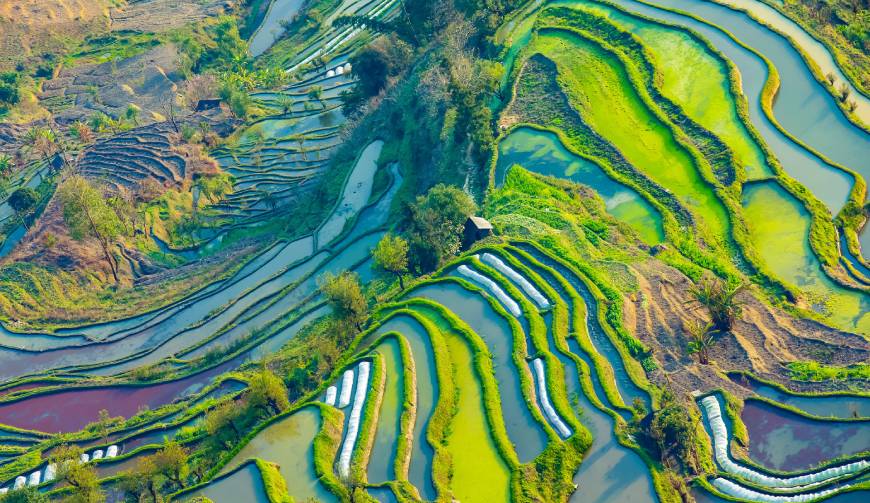 走进卫滨区TVC拍摄：解锁本地化场景与创意镜头的完美融合